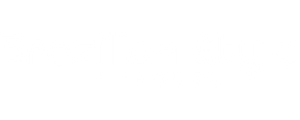 Brazilian Style Imports sponsor logo